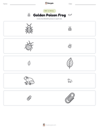 Golden Poison Frog printable worksheet preview