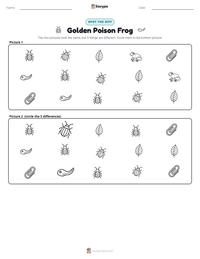 Golden Poison Frog printable worksheet preview