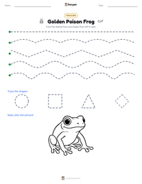 Golden Poison Frog printable worksheet preview