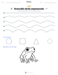 Aperçu de la feuille de travail imprimable Grenouille dorée empoisonnée