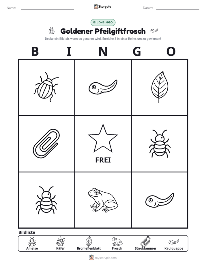 Bild-Bingo