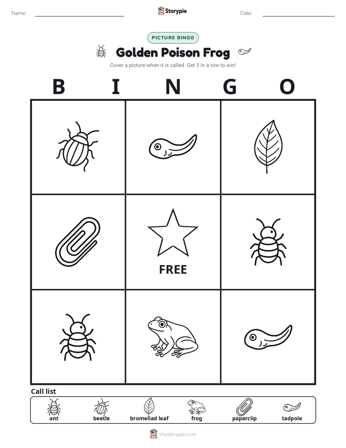 Picture Bingo