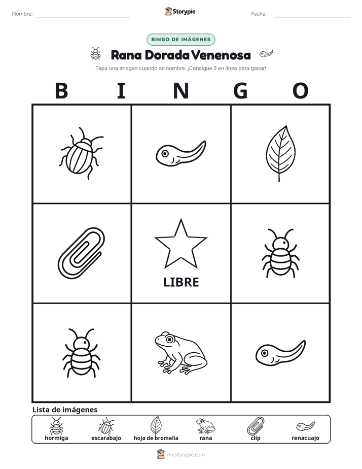 Bingo de Imágenes