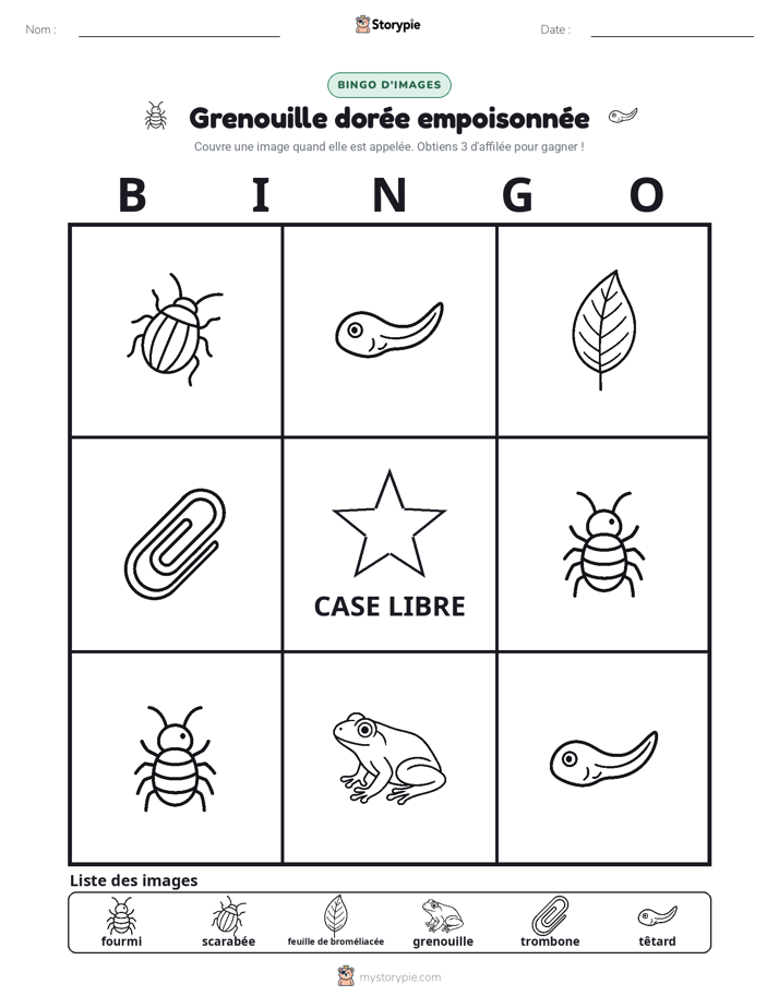 Bingo d'Images