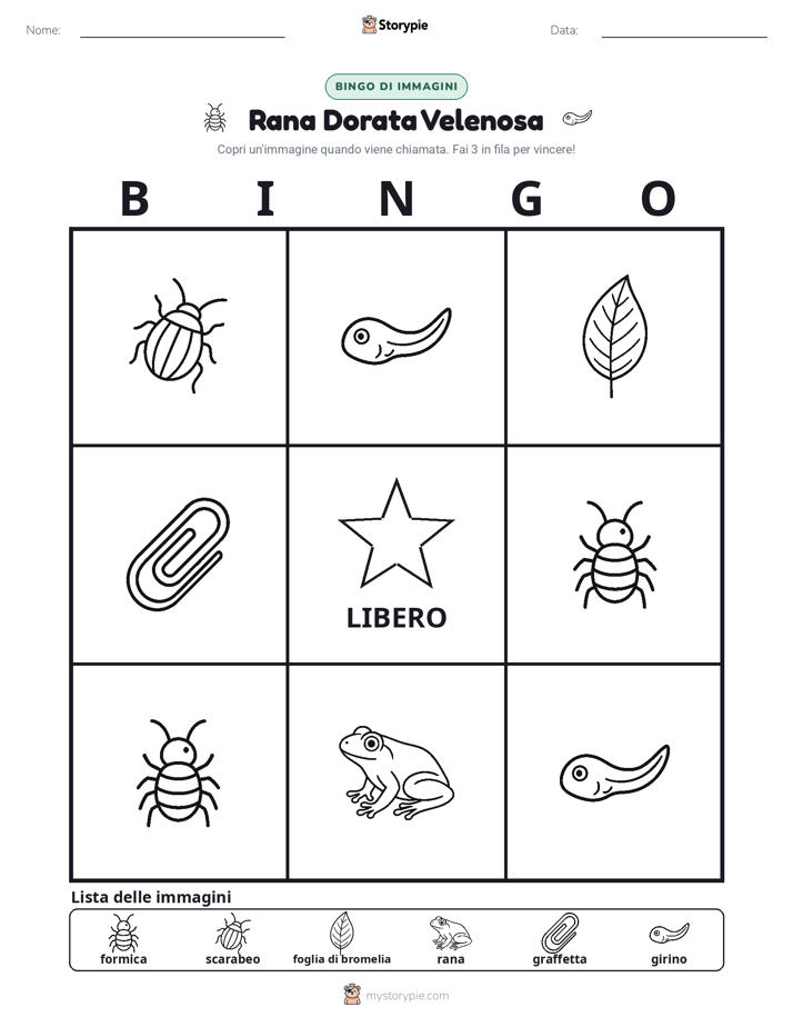 Bingo delle Immagini