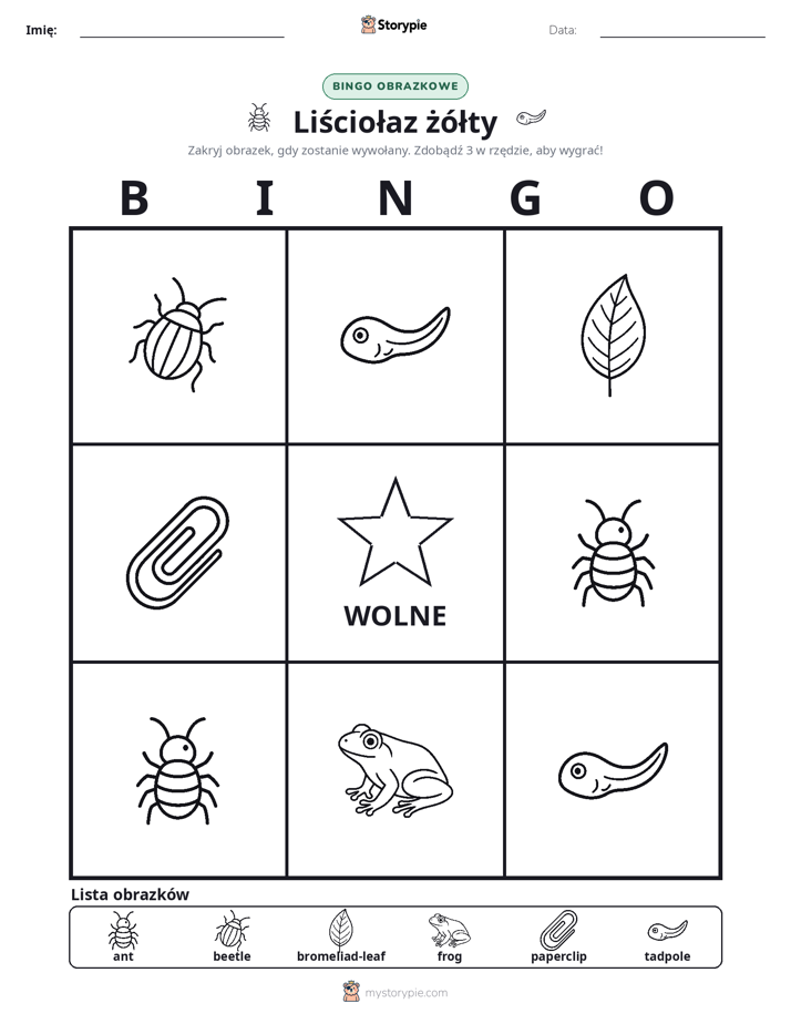 Bingo obrazkowe
