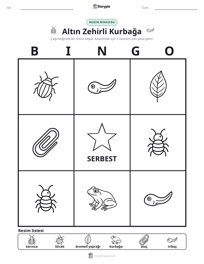 Resim Bingo