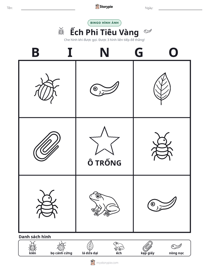 Bingo Hình Ảnh