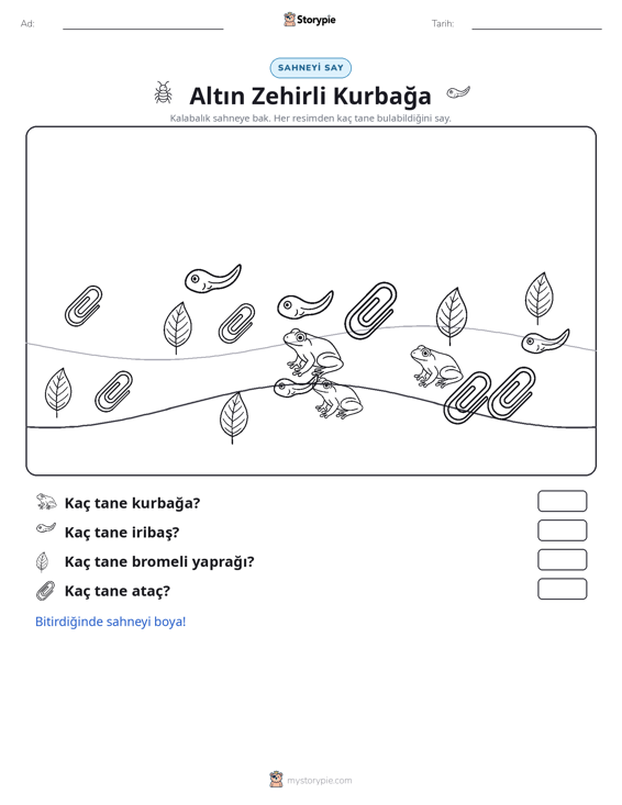 Sayma Sahnesi