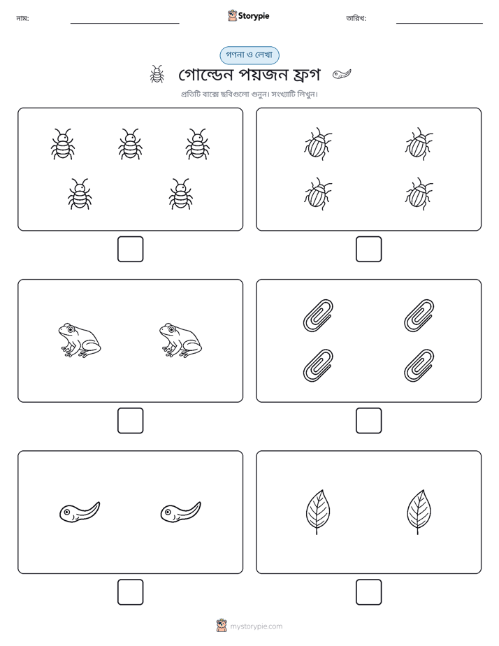 গণনা & লিখুন