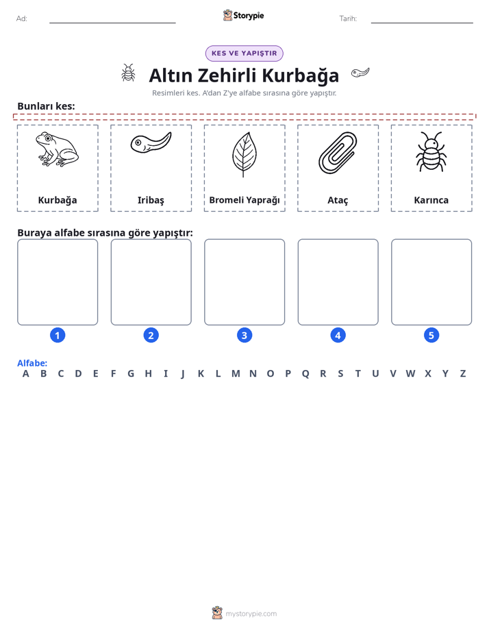 Kes & Yapıştır Alfabe