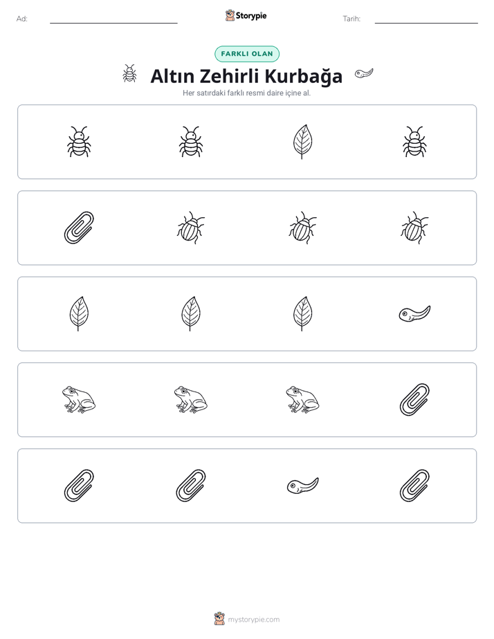Farklı Olanı Bul