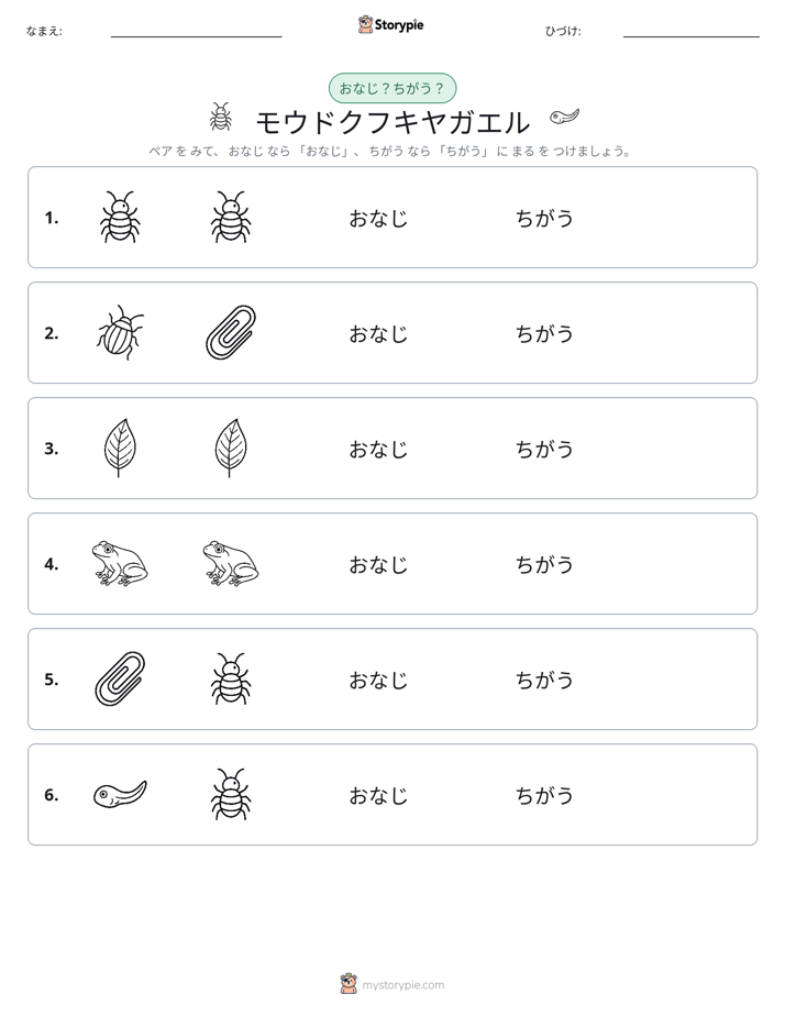 同じか違うか
