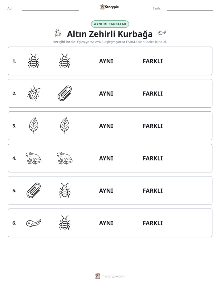 Aynı mı Farklı mı