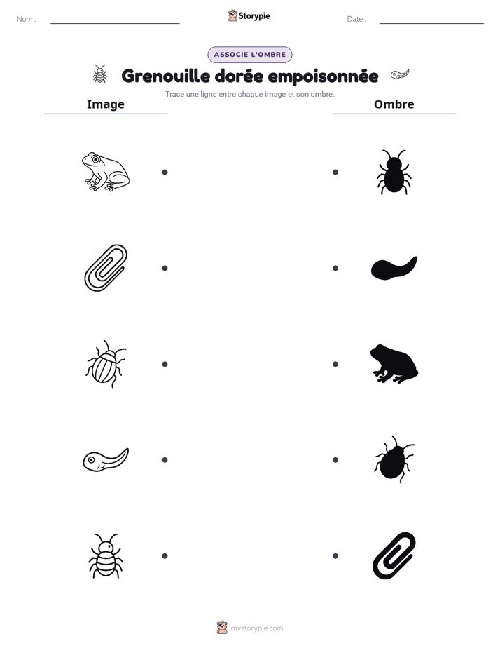 Correspondance d'Ombres