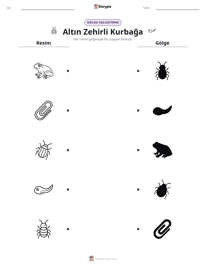 Gölge Eşleştirme