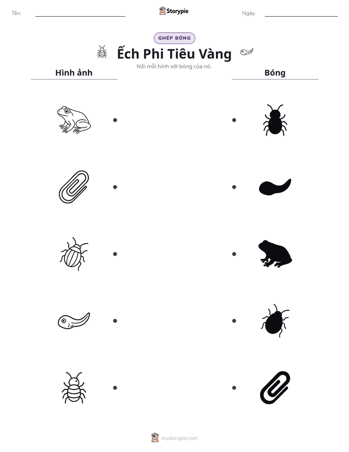 Ghép Hình Bóng
