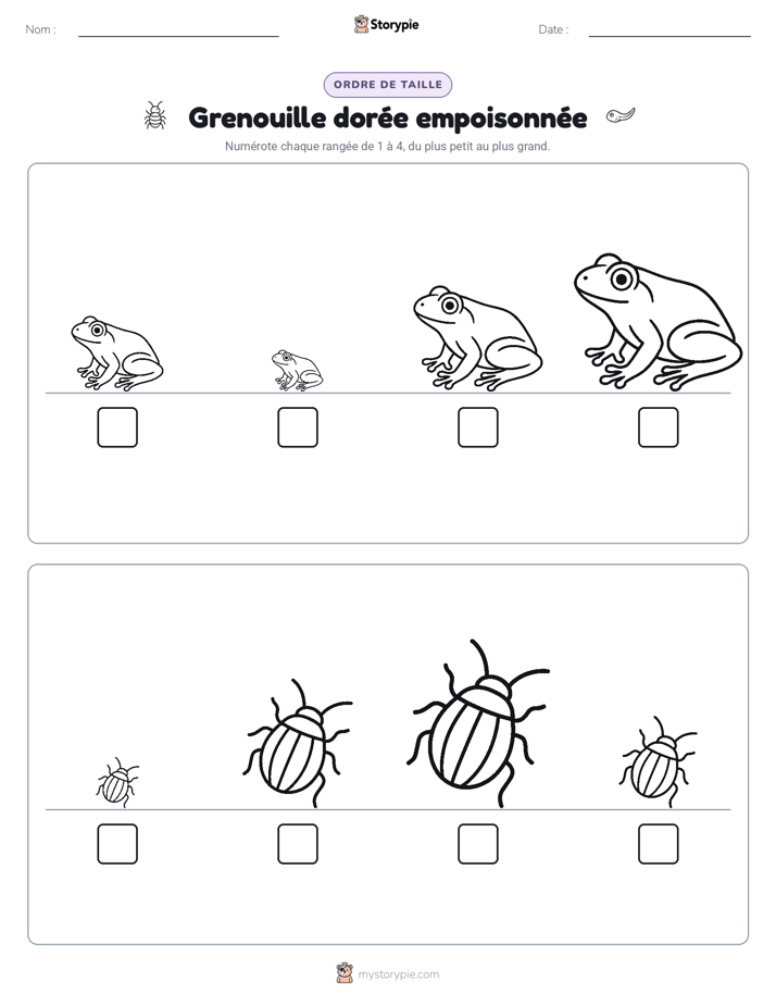 Ordre de Taille