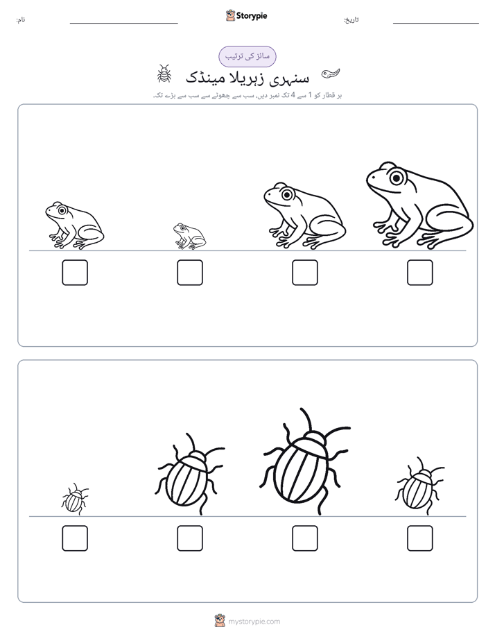 سائز کی ترتیب