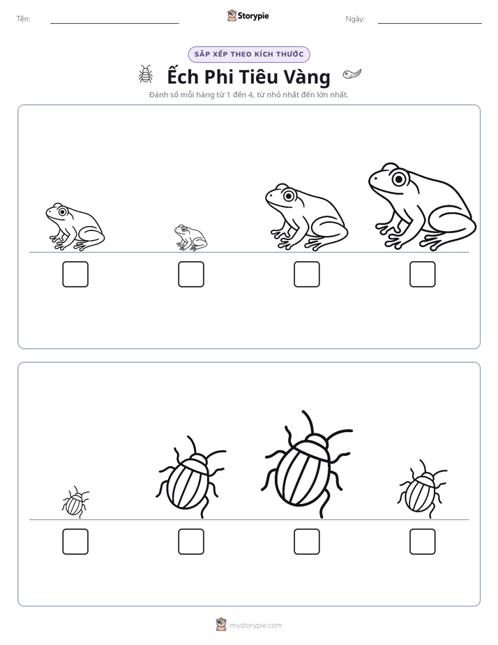 Thứ Tự Kích Thước