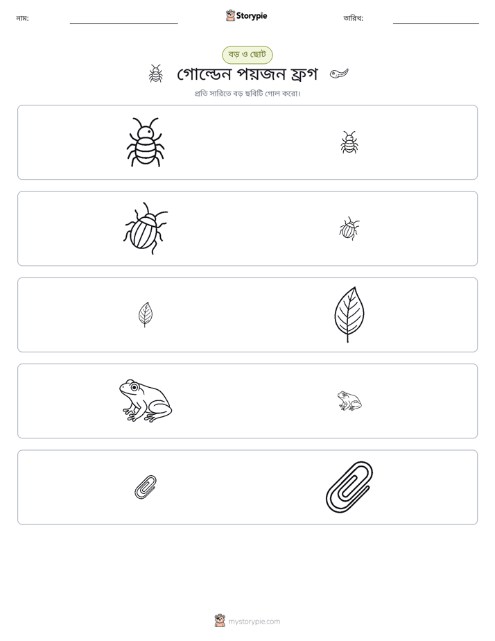 সাজানো