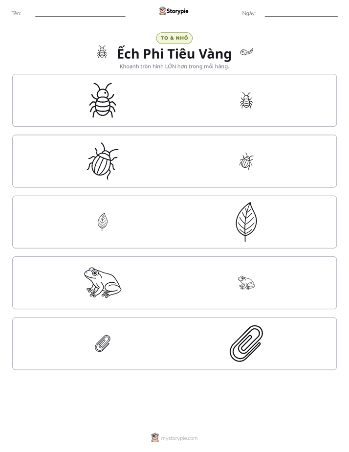 Phân Loại
