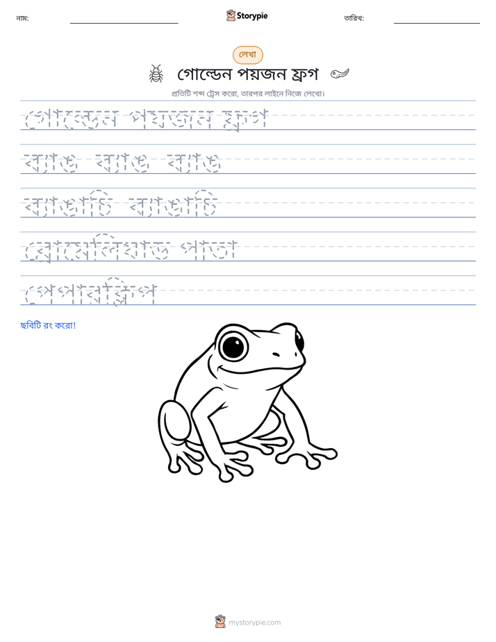 লেখার অনুশীলন