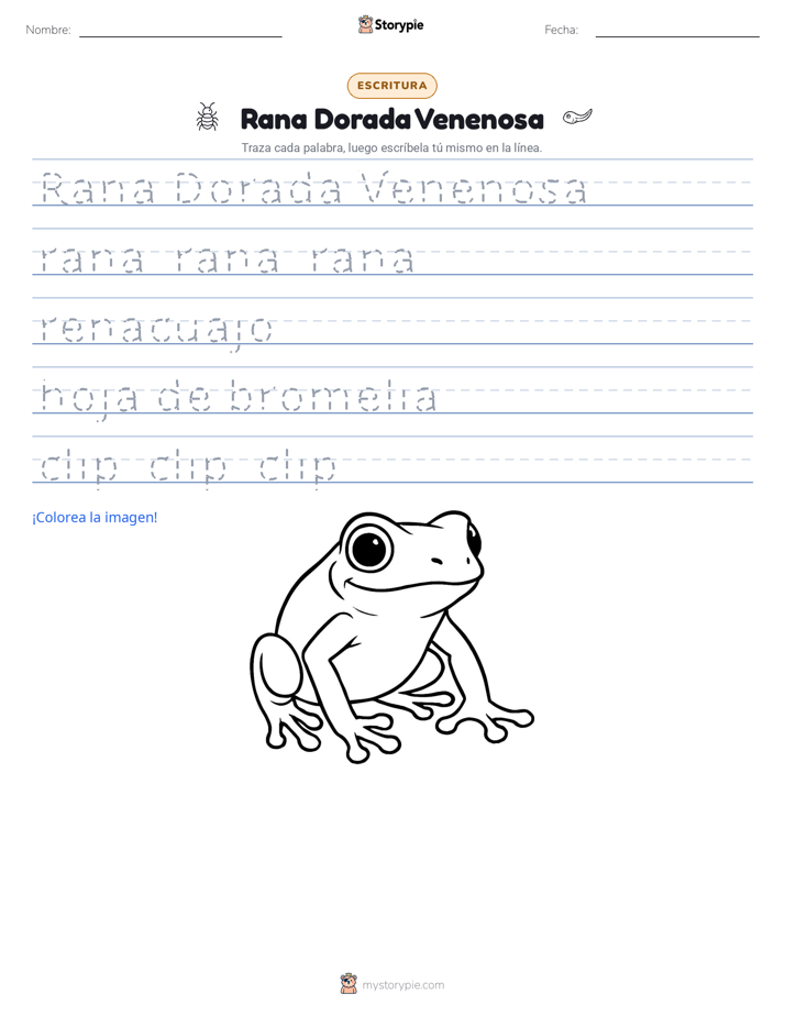 Práctica de Escritura