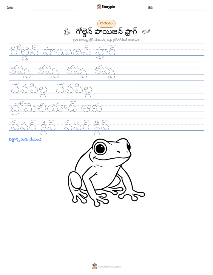రాయడం సాధన