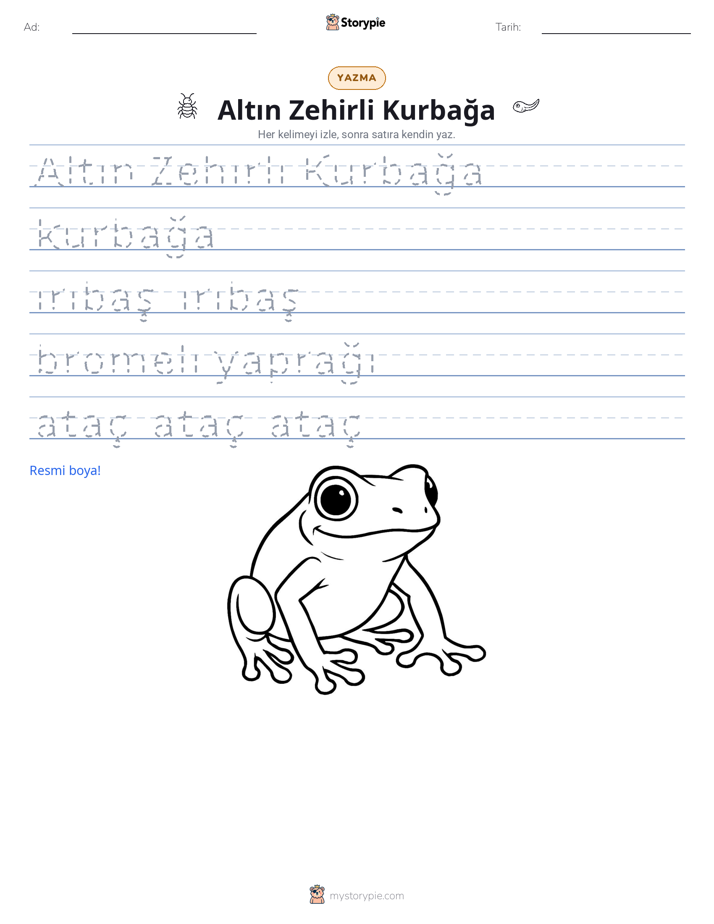 Yazma Pratiği