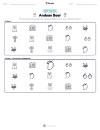 Andean Bear printable worksheet preview