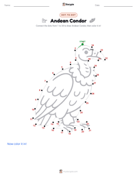Andean Condor printable worksheet preview