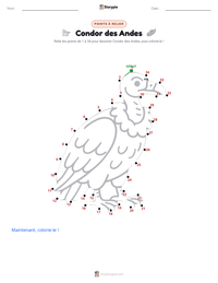 Aperçu de la feuille de travail imprimable Condor des Andes