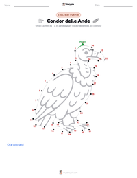 Anteprima della scheda stampabile di Condor delle Ande