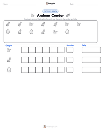 Andean Condor printable worksheet preview
