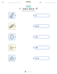 안데스 콘도르 인쇄 가능한 워크시트 미리보기