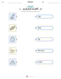 ఆండియన్ కాండోర్ ముద్రించదగిన పని పత్రం ప్రివ్యూ