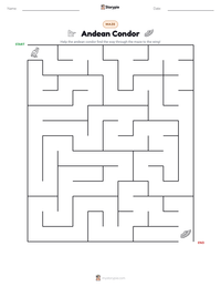 Andean Condor printable worksheet preview