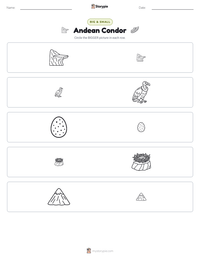 Andean Condor printable worksheet preview
