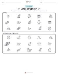 Andean Condor printable worksheet preview