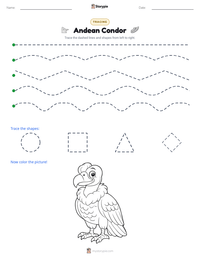 Andean Condor printable worksheet preview