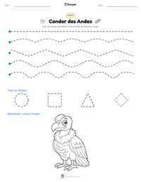 Aperçu de la feuille de travail imprimable Condor des Andes