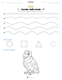 Anteprima della scheda stampabile di Condor delle Ande