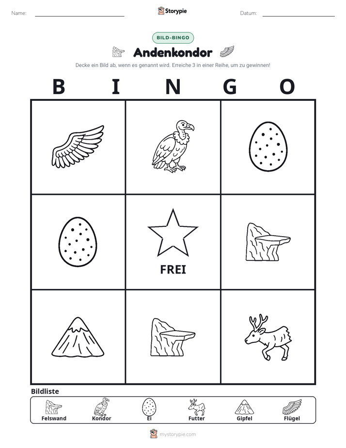 Bild-Bingo