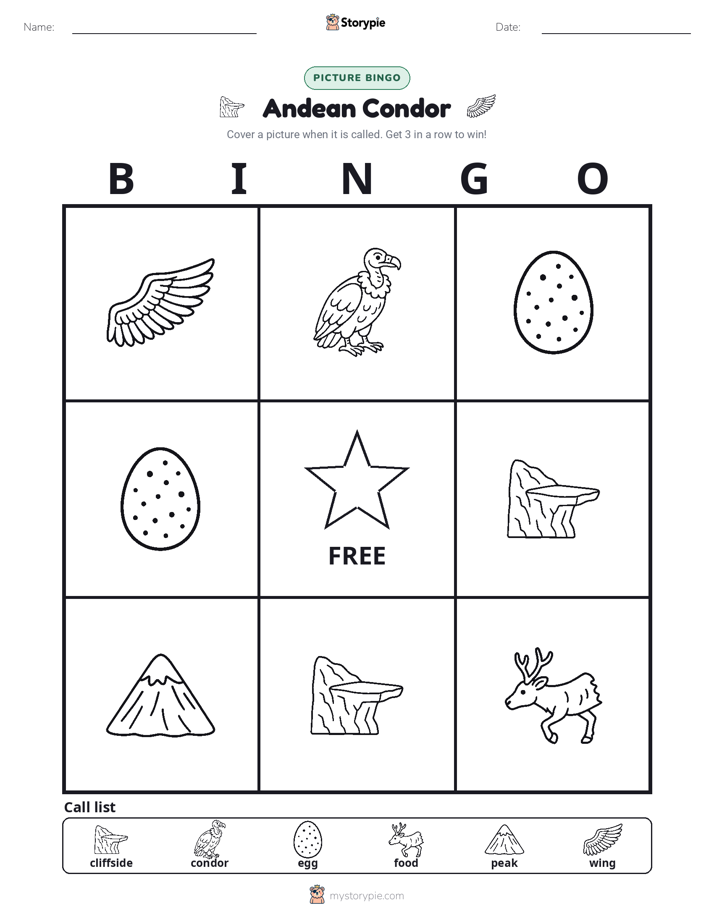 Picture Bingo