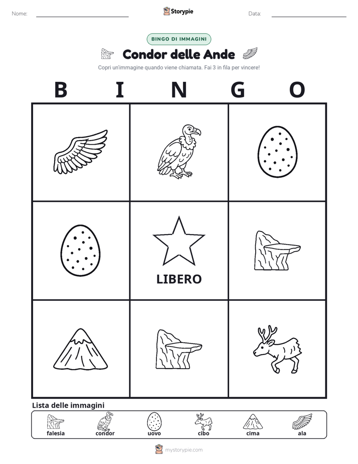 Bingo delle Immagini