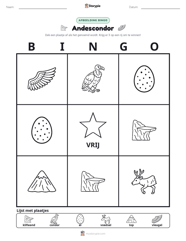 Afbeelding Bingo