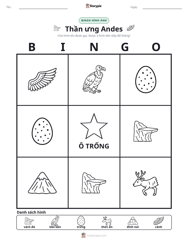 Bingo Hình Ảnh