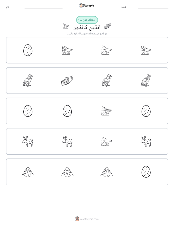 عجیب ایک