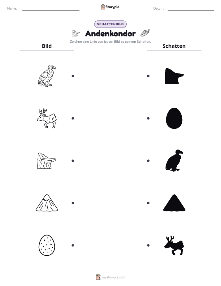 Schattenmatch